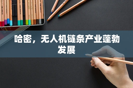 哈密，无人机链条产业蓬勃发展