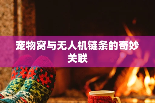 宠物窝与无人机链条的奇妙关联