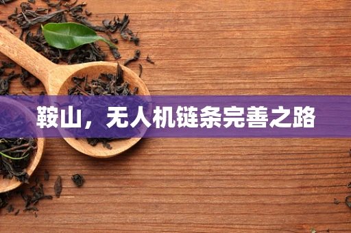 鞍山，无人机链条完善之路