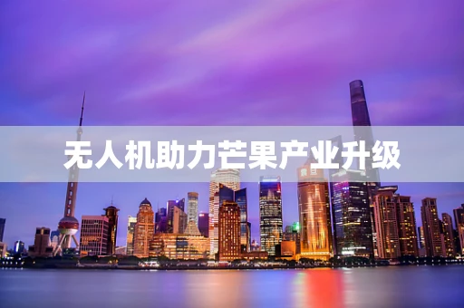 无人机助力芒果产业升级
