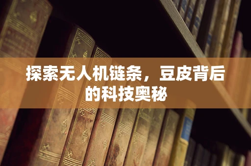 探索无人机链条，豆皮背后的科技奥秘