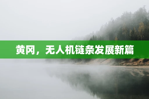 黄冈，无人机链条发展新篇