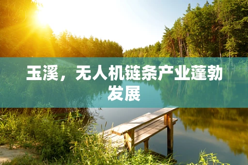 玉溪，无人机链条产业蓬勃发展