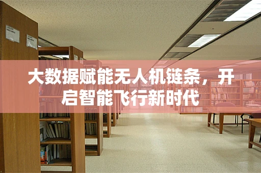 大数据赋能无人机链条，开启智能飞行新时代