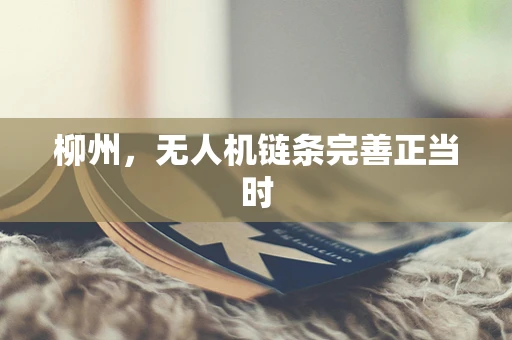 柳州，无人机链条完善正当时