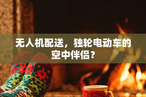 无人机配送，独轮电动车的空中伴侣？