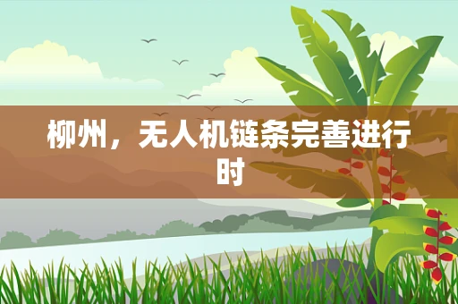 柳州，无人机链条完善进行时