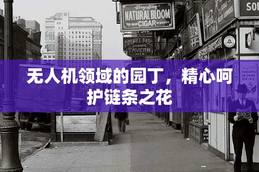 无人机领域的园丁，精心呵护链条之花
