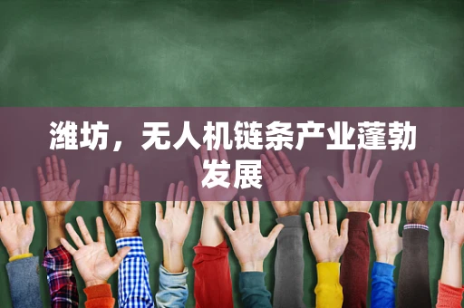 潍坊，无人机链条产业蓬勃发展