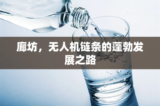 廊坊，无人机链条的蓬勃发展之路