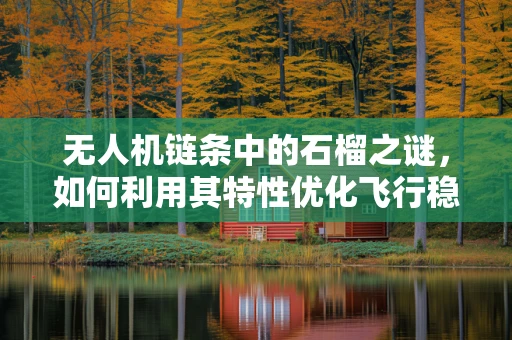 无人机链条中的石榴之谜，如何利用其特性优化飞行稳定性？