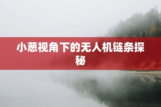 小葱视角下的无人机链条探秘