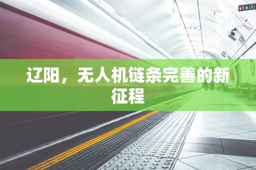 辽阳，无人机链条完善的新征程
