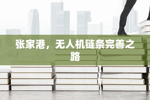 张家港，无人机链条完善之路
