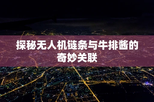 探秘无人机链条与牛排酱的奇妙关联