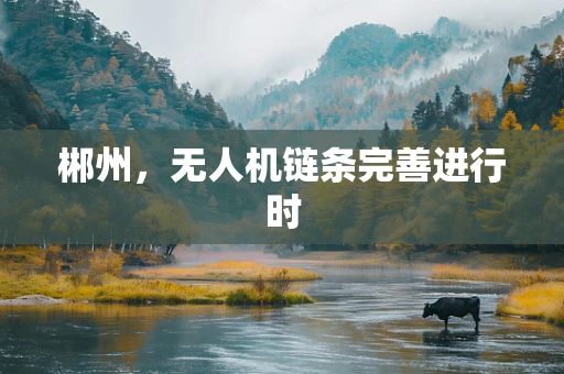 郴州，无人机链条完善进行时