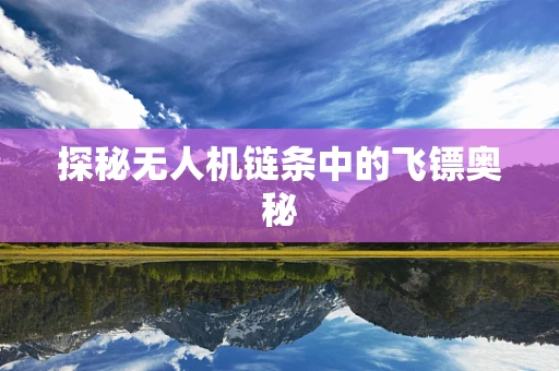 探秘无人机链条中的飞镖奥秘