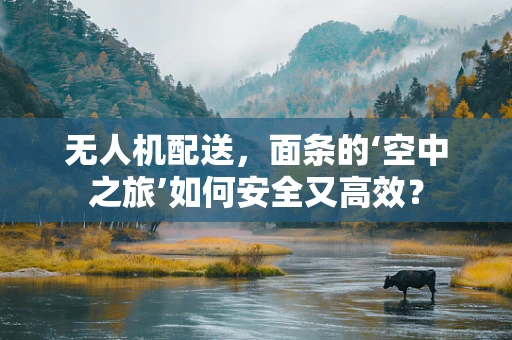 无人机配送，面条的‘空中之旅’如何安全又高效？