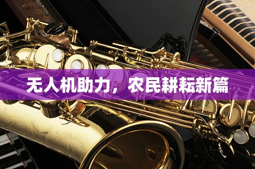 无人机助力，农民耕耘新篇