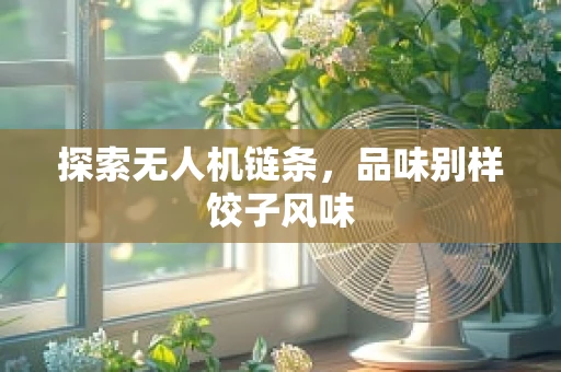 探索无人机链条，品味别样饺子风味