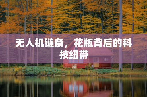 无人机链条，花瓶背后的科技纽带