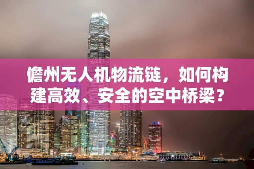 儋州无人机物流链，如何构建高效、安全的空中桥梁？