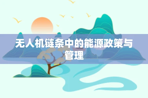 无人机链条中的能源政策与管理