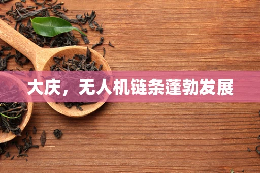 大庆，无人机链条蓬勃发展