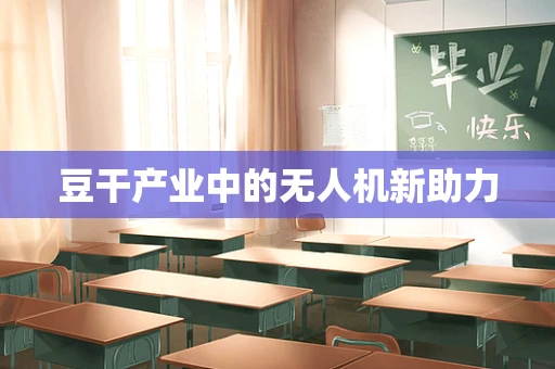 豆干产业中的无人机新助力