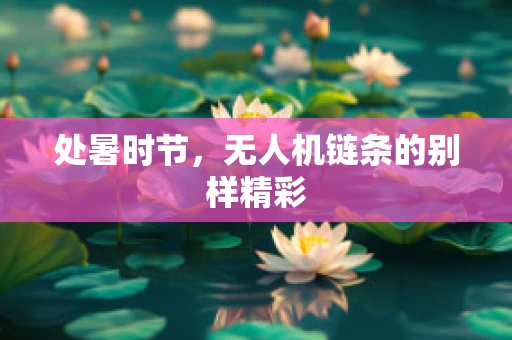 处暑时节，无人机链条的别样精彩