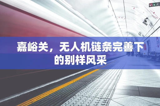 嘉峪关，无人机链条完善下的别样风采