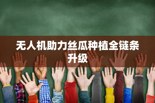 无人机助力丝瓜种植全链条升级