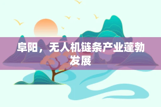 阜阳，无人机链条产业蓬勃发展