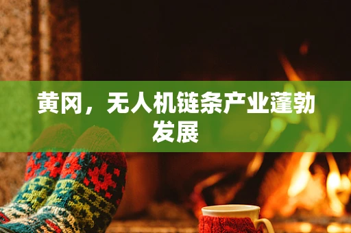 黄冈，无人机链条产业蓬勃发展