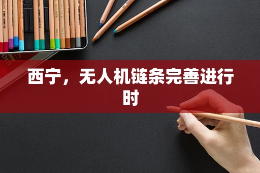 西宁，无人机链条完善进行时