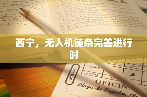 西宁，无人机链条完善进行时