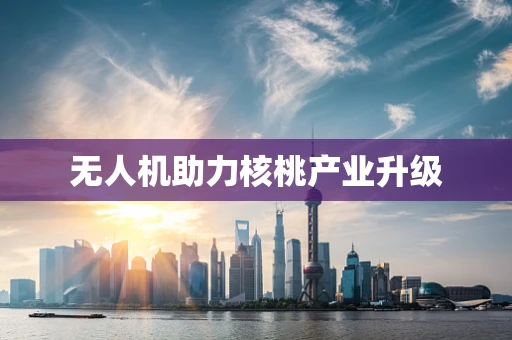 无人机助力核桃产业升级