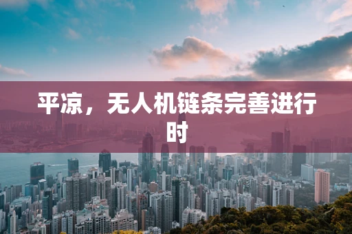 平凉，无人机链条完善进行时