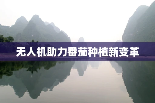 无人机助力番茄种植新变革