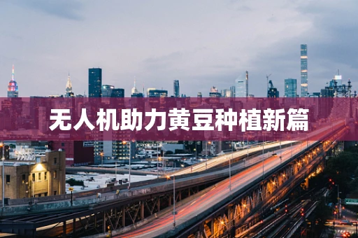 无人机助力黄豆种植新篇