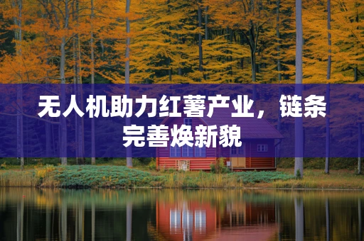 无人机助力红薯产业，链条完善焕新貌