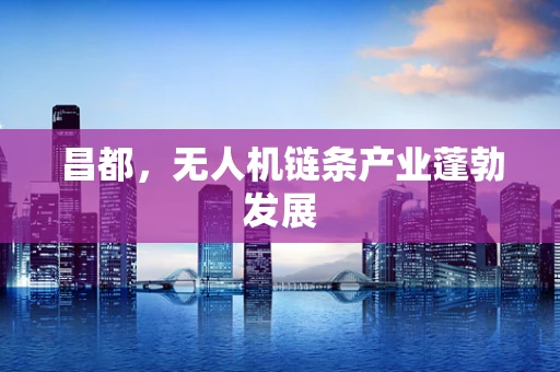 昌都，无人机链条产业蓬勃发展