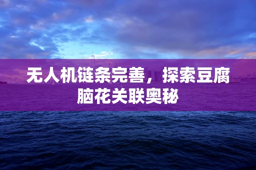 无人机链条完善，探索豆腐脑花关联奥秘