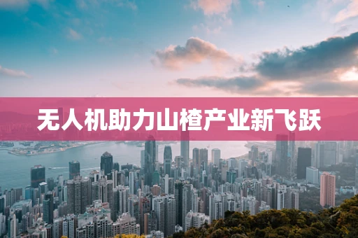 无人机助力山楂产业新飞跃