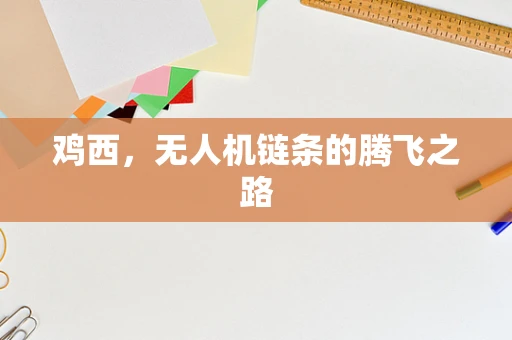 鸡西，无人机链条的腾飞之路