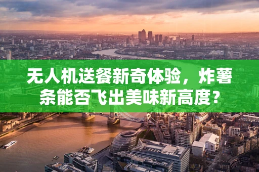 无人机送餐新奇体验，炸薯条能否飞出美味新高度？