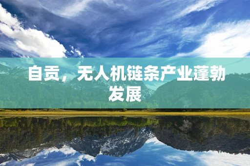 自贡，无人机链条产业蓬勃发展