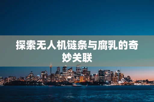 探索无人机链条与腐乳的奇妙关联