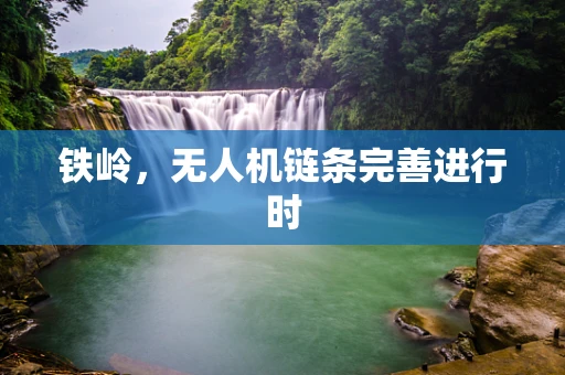 铁岭，无人机链条完善进行时