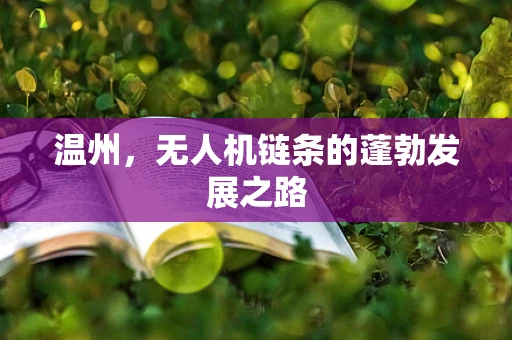 温州，无人机链条的蓬勃发展之路